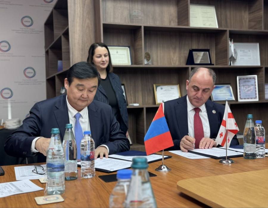 ЭХЗХ-ны удирдлагууд Гүрж улсад ажиллалаа