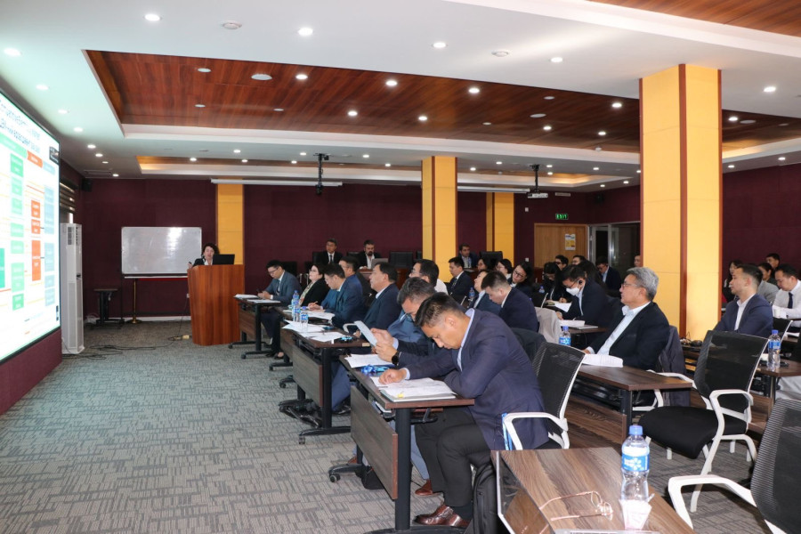 Update on the Progress of the ‘Energy Sector Development and Reform in Mongolia’ Technical Assistance Project