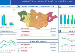 319 МВт эрчим хүч импортолжээ
