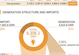 ELECTRICITY GENERATION