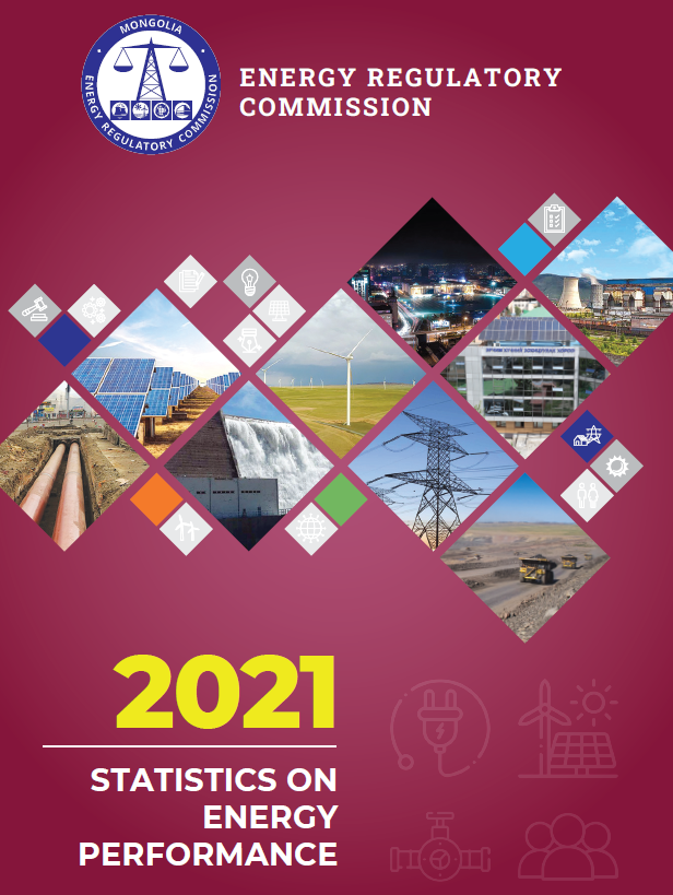 Statistics on energy performance 2021 