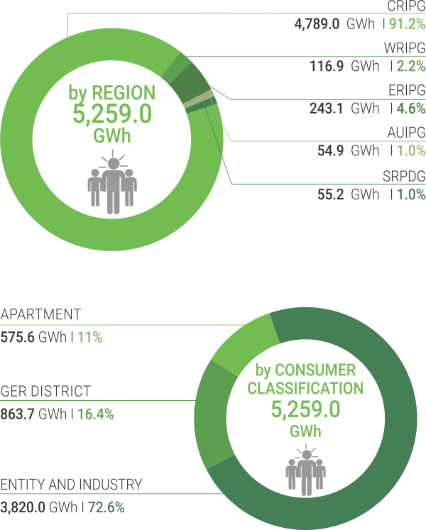 STRUCTURE OF ELECTRICITY SALES