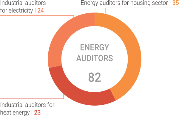 ENERGY AUDITORS