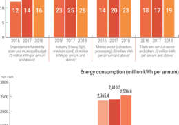 THE NUMBER OF DESIGNATED CONSUMER FOR 2018 /ELECTRICITY CONSUMER/